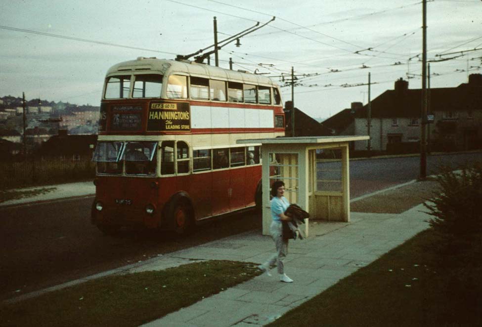  Hollingbury [Carden Avenue] Terminus - 1961 